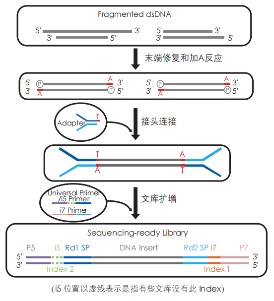 圖片3.png 圖片3.png