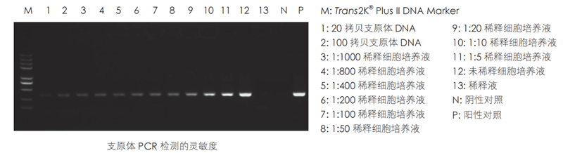 圖片1_副本.png 圖片1_副本.png