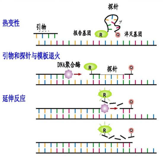 圖片12.png 圖片12.png