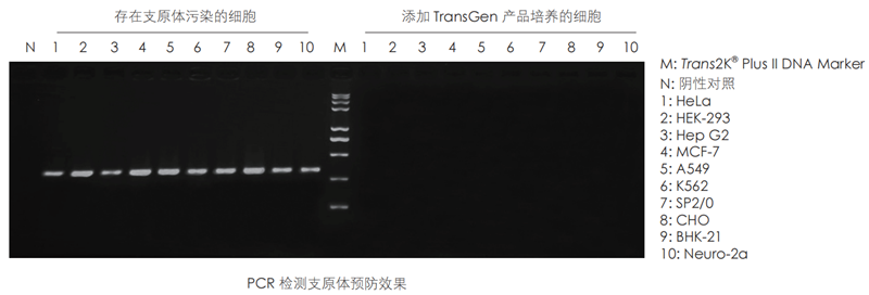 圖片4_副本.png 圖片4_副本.png