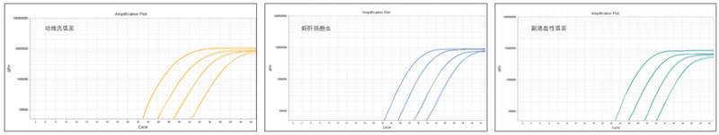 圖片15_副本.png 圖片15_副本.png