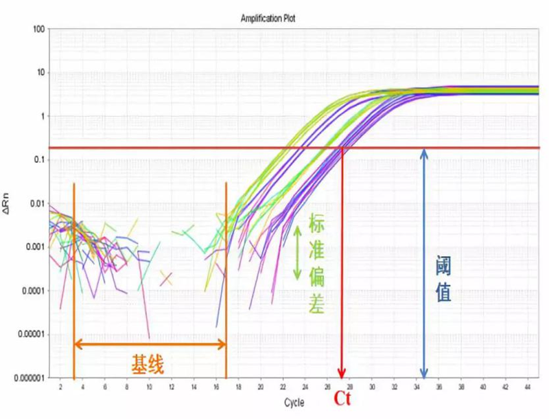 圖片1_副本.png 圖片1_副本.png