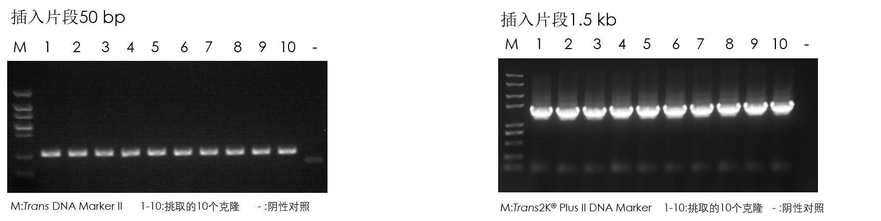 圖片1.png 圖片1.png