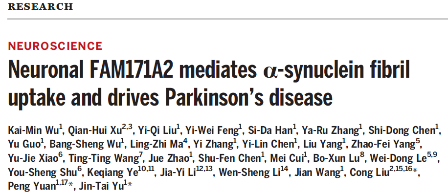 Neuronal FAM171A2 mediates a-synuclein fibril uptake and drives Parkinson’s disease Neuronal FAM171A2 mediates a-synuclein fibril uptake and drives Parkinson’s disease