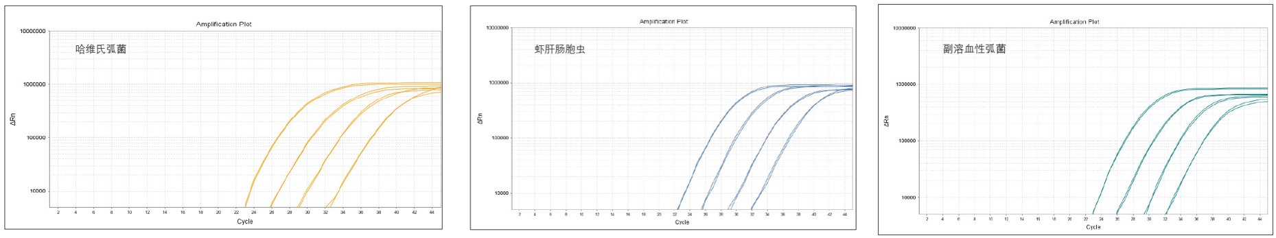 圖片20.png 圖片20.png