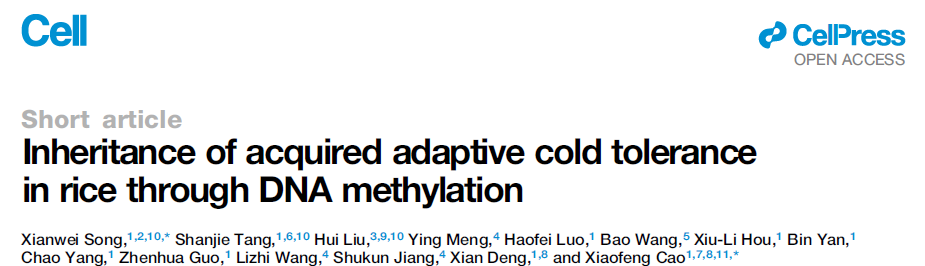 Inheritance of acquired adaptive cold tolerance in rice through DNA methylation Inheritance of acquired adaptive cold tolerance in rice through DNA methylation
