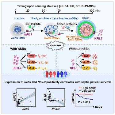 圖片5.png 圖片5.png