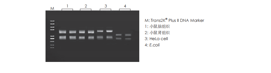 數(shù)據(jù)展示  數(shù)據(jù)展示