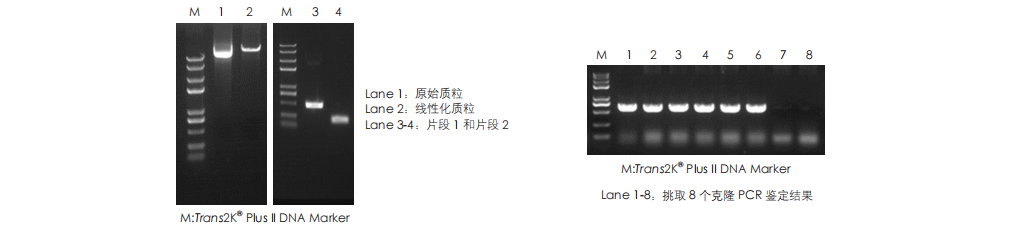 客戶反饋數(shù)據(jù) 客戶反饋數(shù)據(jù)